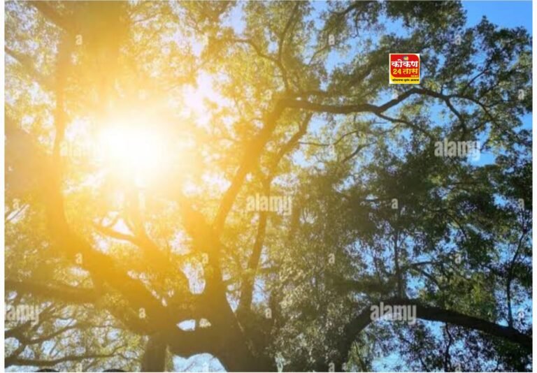 मार्चमध्ये महाराष्ट्रात तडाखेबंद उष्णतेची लाट येणार !