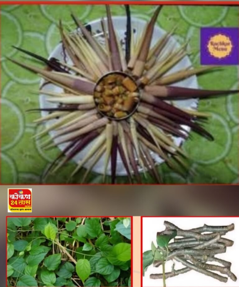 आजीची भाजी रानभाजीअमृतासमान गुळवेल अन् शेवळी..