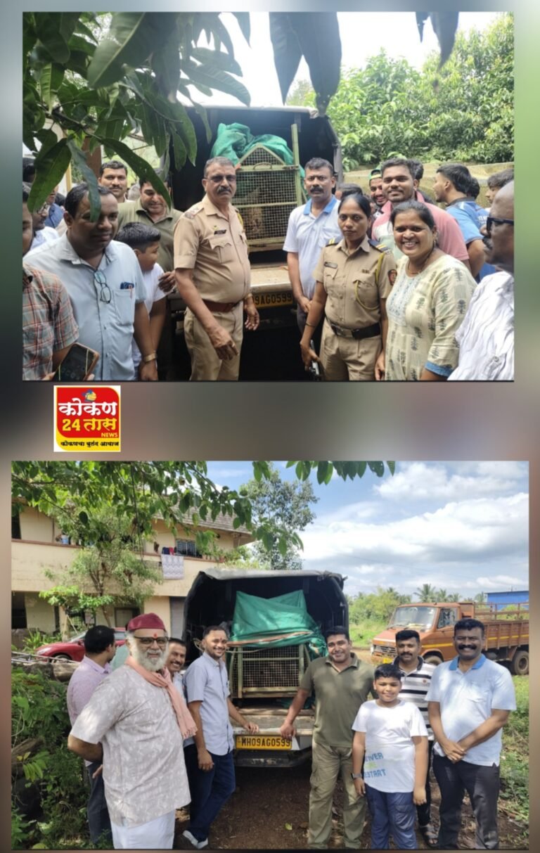दिनांक 23/10/2025 रोजी मौजे मजगाव ता . जिल्हा रत्नागिरी येथील श्री. आबीद अली अब्दुल हमीद काझी यांचे मालकीच्या आंबा कलम बागेतील कठडा असलेल्या विहिरीमध्ये बिबट्या वन्य प्राणी पडलेला असल्याची माहिती सकाळी 9.30 वाजण्याच्या सुमारास मजगाव गावचे पोलीस पाटील अशोक केळकर यांनी वनपाल पाली यांना दूरध्वनी वरून माहीती दिली
